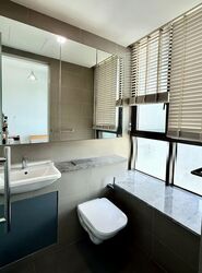 Skyline Residences (D4), Condominium #580248071